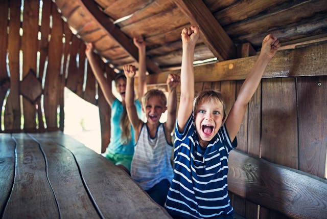 Three kids cheering inside of a tree house. Kids are aged 8 and 11.
