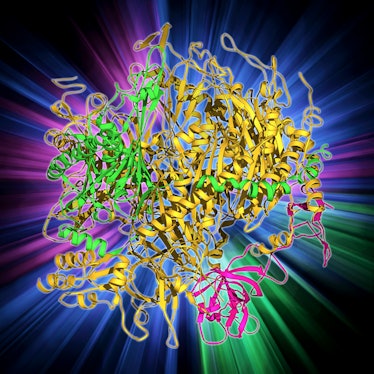 An RNA exosome, which could be used to diagnose cancer.