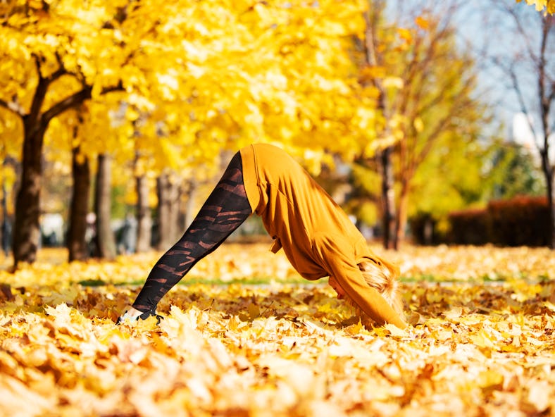 A woman practicing downward dog as part of the 10-minute morning yoga routine that's energizing in t...