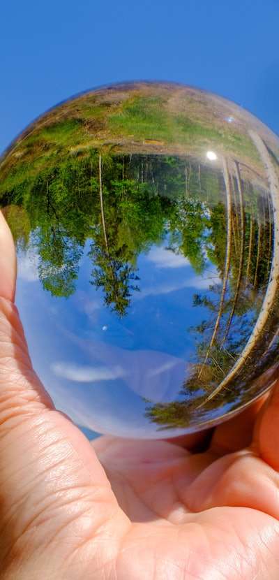 Hand holding glass sphere which is reflecting an upside down image of a forest. 