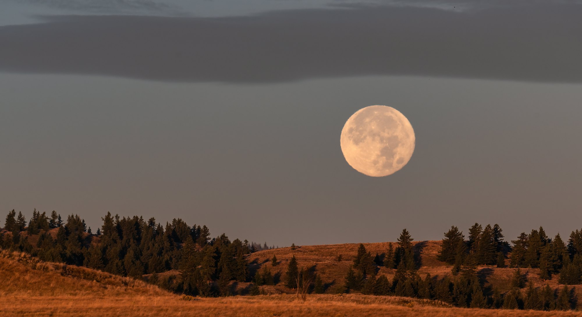 A full Fall Harvest Moon sets over farmland in Kamloops, BC
