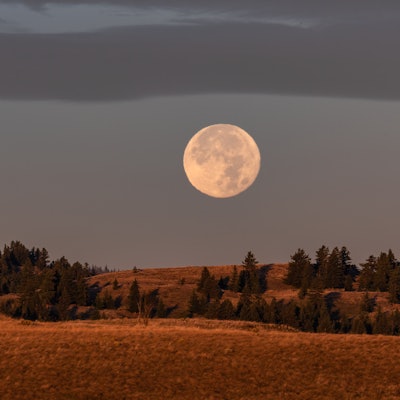 A full Fall Harvest Moon sets over farmland in Kamloops, BC
