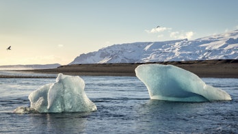 Icebergs illuminated from late afternoon winter sun stranded at Iceland Jökulsarlon Lagoon Diamond B...