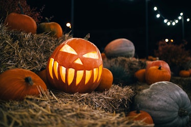 Pumpkin carving jack-o-lantern for halloween