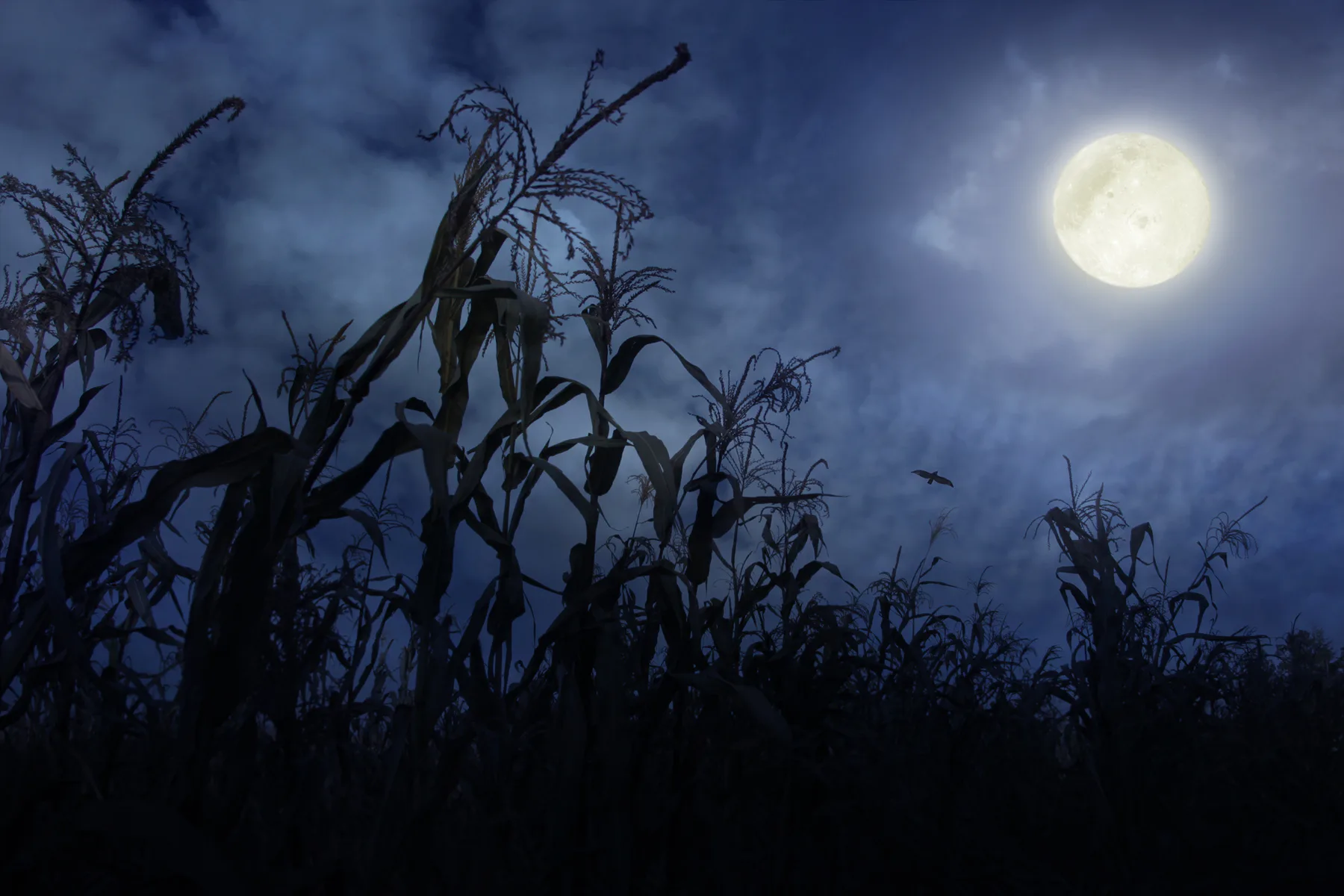 5 astronomical events you can't miss in September 2022
