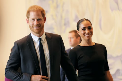Prince Harry and Meghan Markle adopted a new dog named Mamma Mia.