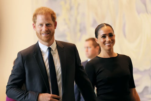 Prince Harry and Meghan Markle adopted a new dog named Mamma Mia. 