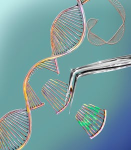 CRISPR gene editing, conceptual computer illustration. The CRISPR-CAS9 protein is used to cut a DNA ...