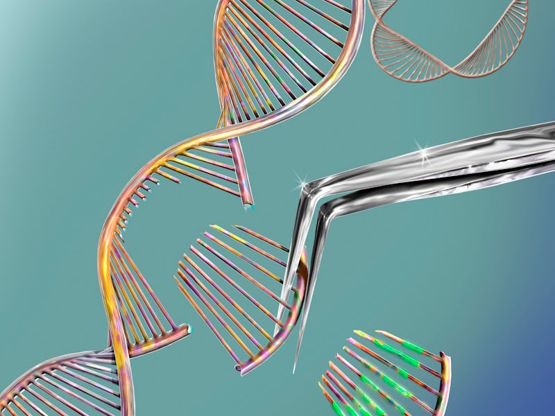CRISPR gene editing, conceptual computer illustration. The CRISPR-CAS9 protein is used to cut a DNA ...