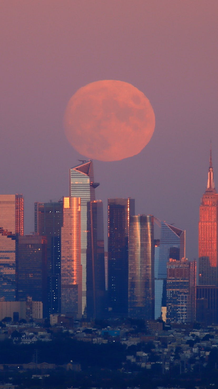 WEST ORANGE, NJ - SEPTEMBER 19: A 98.8 percent Harvest Moon rises behind midtown Manhattan, One Vand...