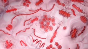 Ilustración que muestra diferentes formas y tipos de bacterias en la superficie