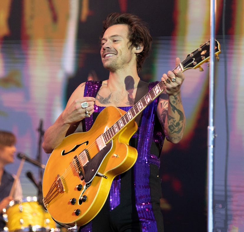 Harry Styles had the most hilarious reaction to a fan who threw chicken nuggets on stage during his ...