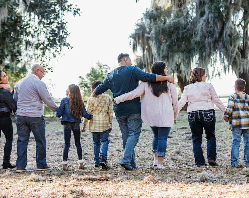 Rear view of a large multi-generation Hispanic family walking in the park, side by side. The group o...