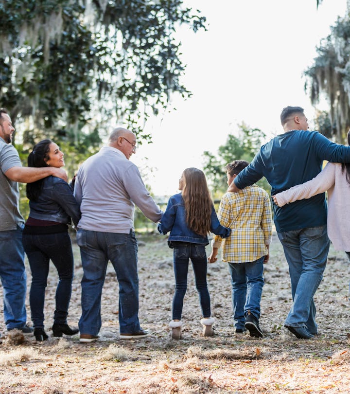 Rear view of a large multi-generation Hispanic family walking in the park, side by side. The group o...