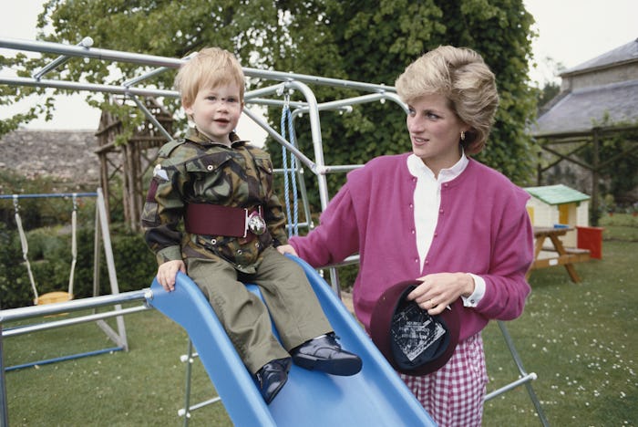 Prince Harry wearing the uniform of the Parachute Regiment of the British Army in the garden of High...