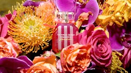 Victoria's Secret Bombshell Paradise fragrance, TikTok's new favorite mosquito repellent, on display...