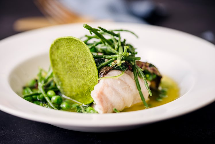 Close-up of a dish of tusk fillet with a fresh pea and herb butter chip, served with samphire. Colou...