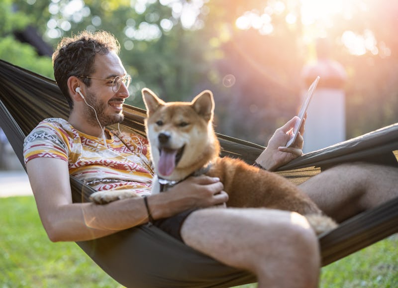 Shiba Inu relaxing with his owner in the hammock