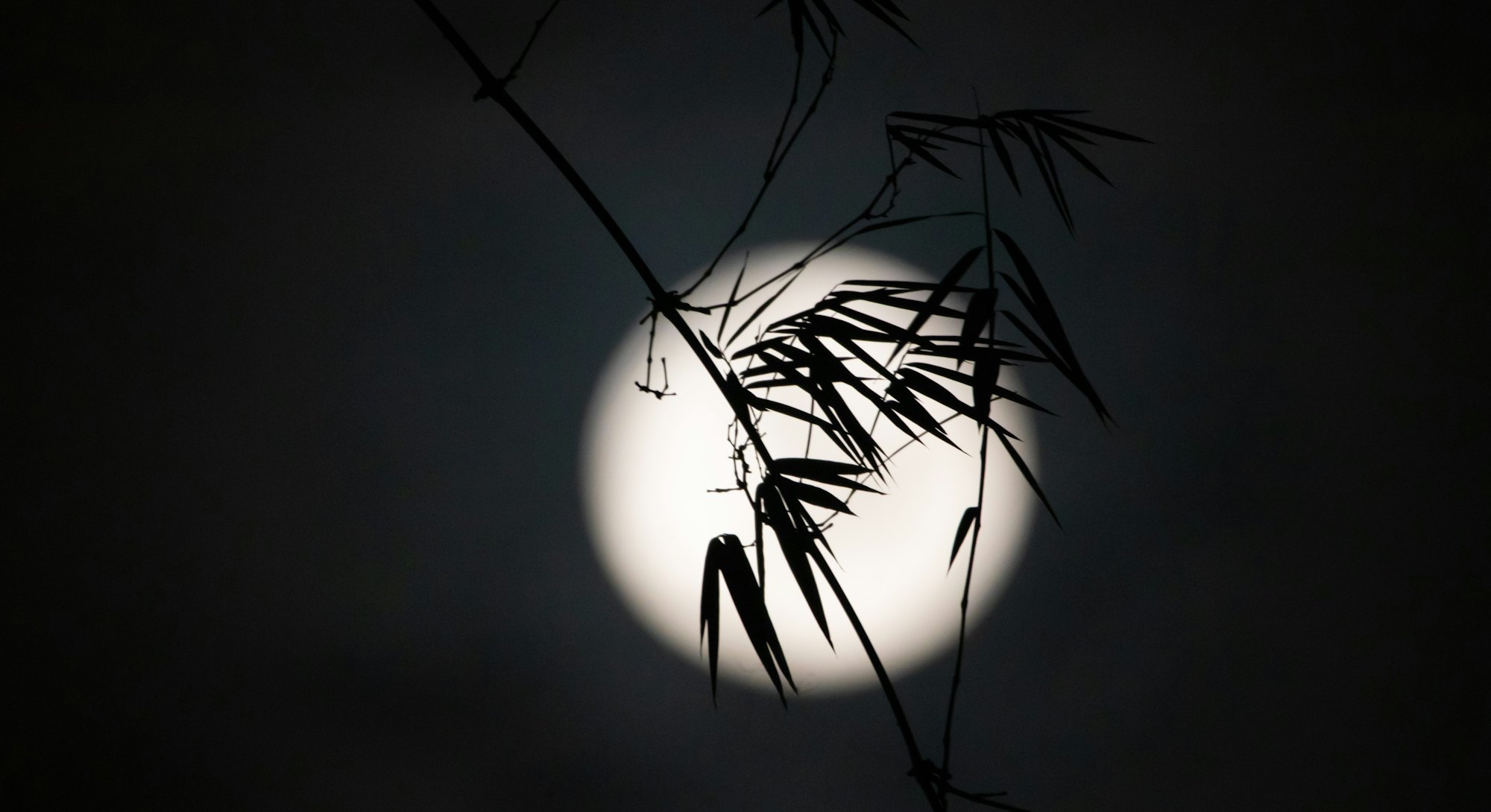 The full &quot;Harvest&quot; moon rises over the sky in Ungaran, Central Java Province, Indonesia on...
