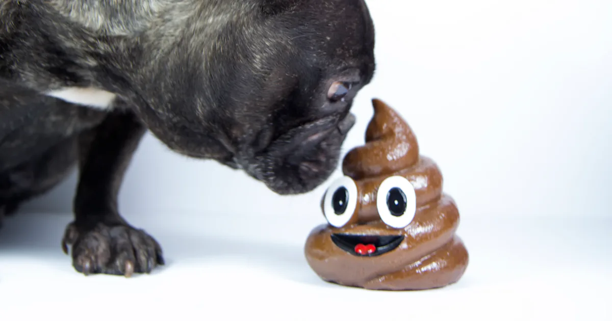 A new Adobe report confirms no one likes the poop emoji