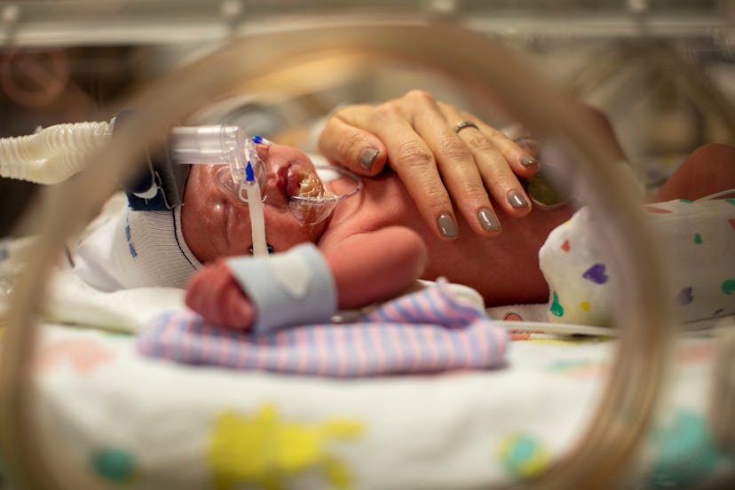 A parent rests their hand on a baby's chest while the baby sleeps in a NICU bed.