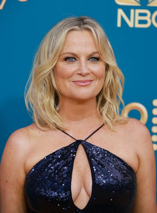 Amy Poehler Emmys 2022