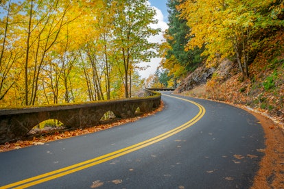 The Historic Columbia River Highway, Oregon in the fall is one of the most popular fall travel desti...