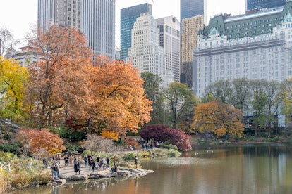 Central Park in New York City, which is one of the most popular fall travel destinations 2022. 