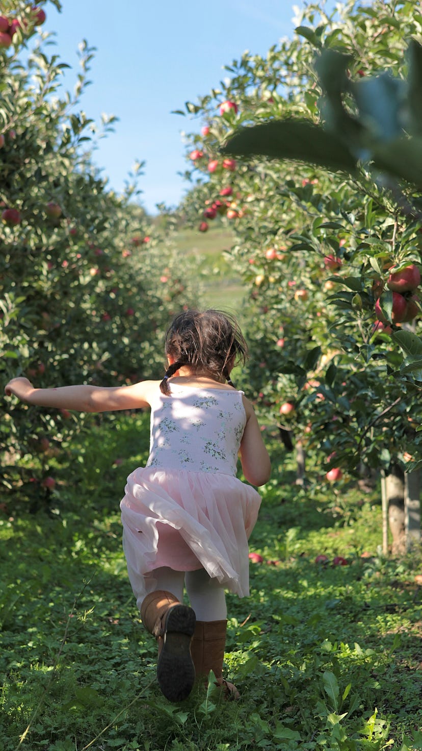 Cheerful little girl running freely at the apple orchard, enjoying nice sunny afternoon outdoors.
