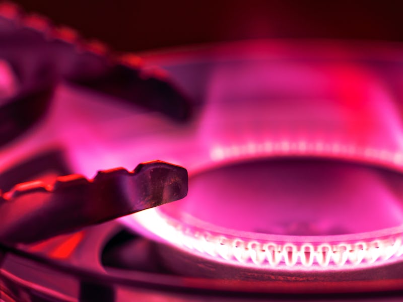 Gas stove with flame
The German government is preparing for a possible gas emergency.
Russian gas ...