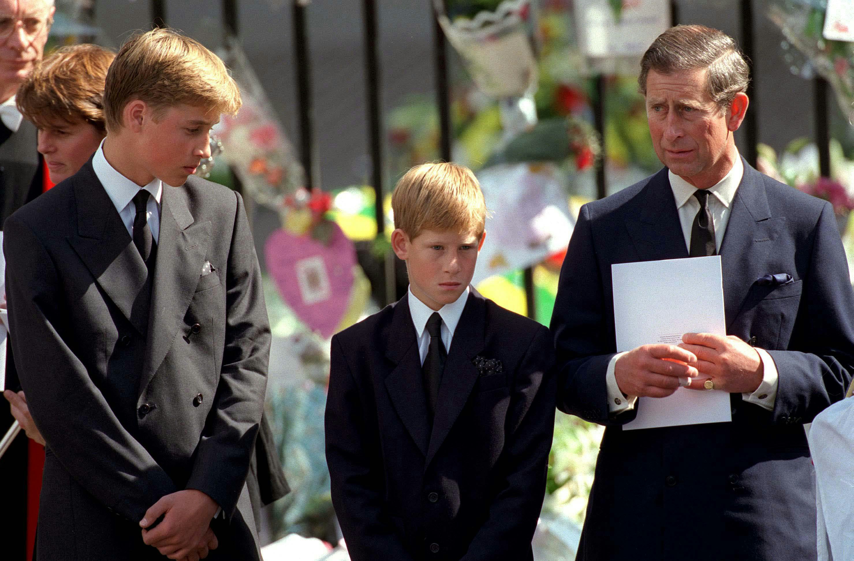 Prince William Says Queen's Procession Reminded Him Of Princess Diana's
