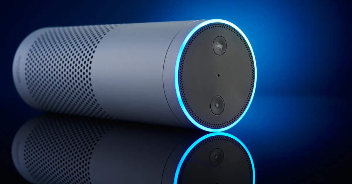 Amazon says screw it, lets Alexa respond to search queries with ads
