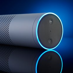 An Amazon Echo multimedia smart speaker, taken on November 28, 2016. (Photo by Joby Sessions/T3 Maga...