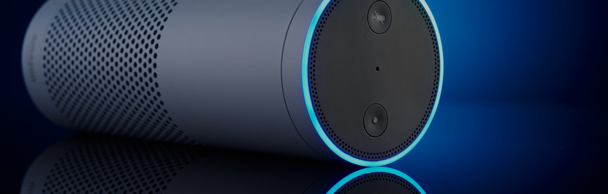 An Amazon Echo multimedia smart speaker, taken on November 28, 2016. (Photo by Joby Sessions/T3 Maga...