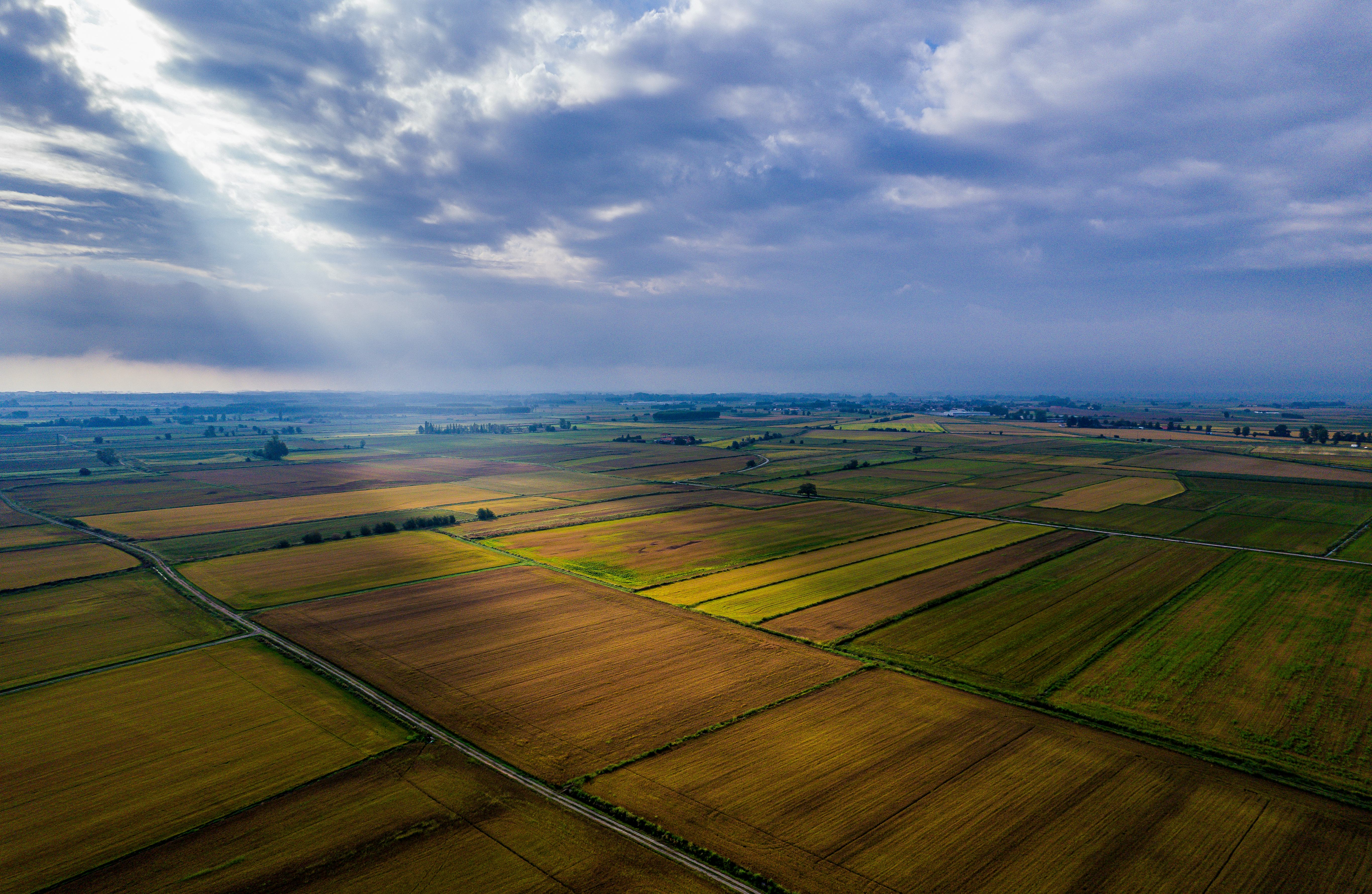 Rice needs a lot of water for its life cycle and the area between Novara and Pavia has suffered a se...