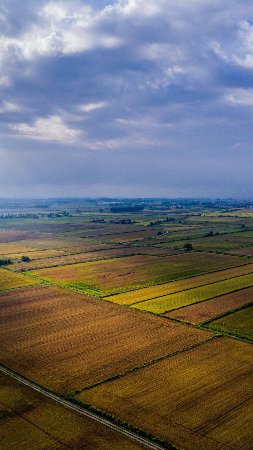 Rice needs a lot of water for its life cycle and the area between Novara and Pavia has suffered a se...