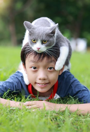 Mignon petit garçon câlinant son chat