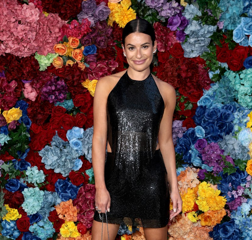 Lea Michele responded to the rumors questioning her literacy with a funny TikTok video.