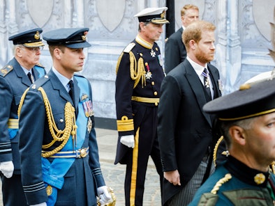 The photos of Princes William and Harry at the queen's funeral are moving.