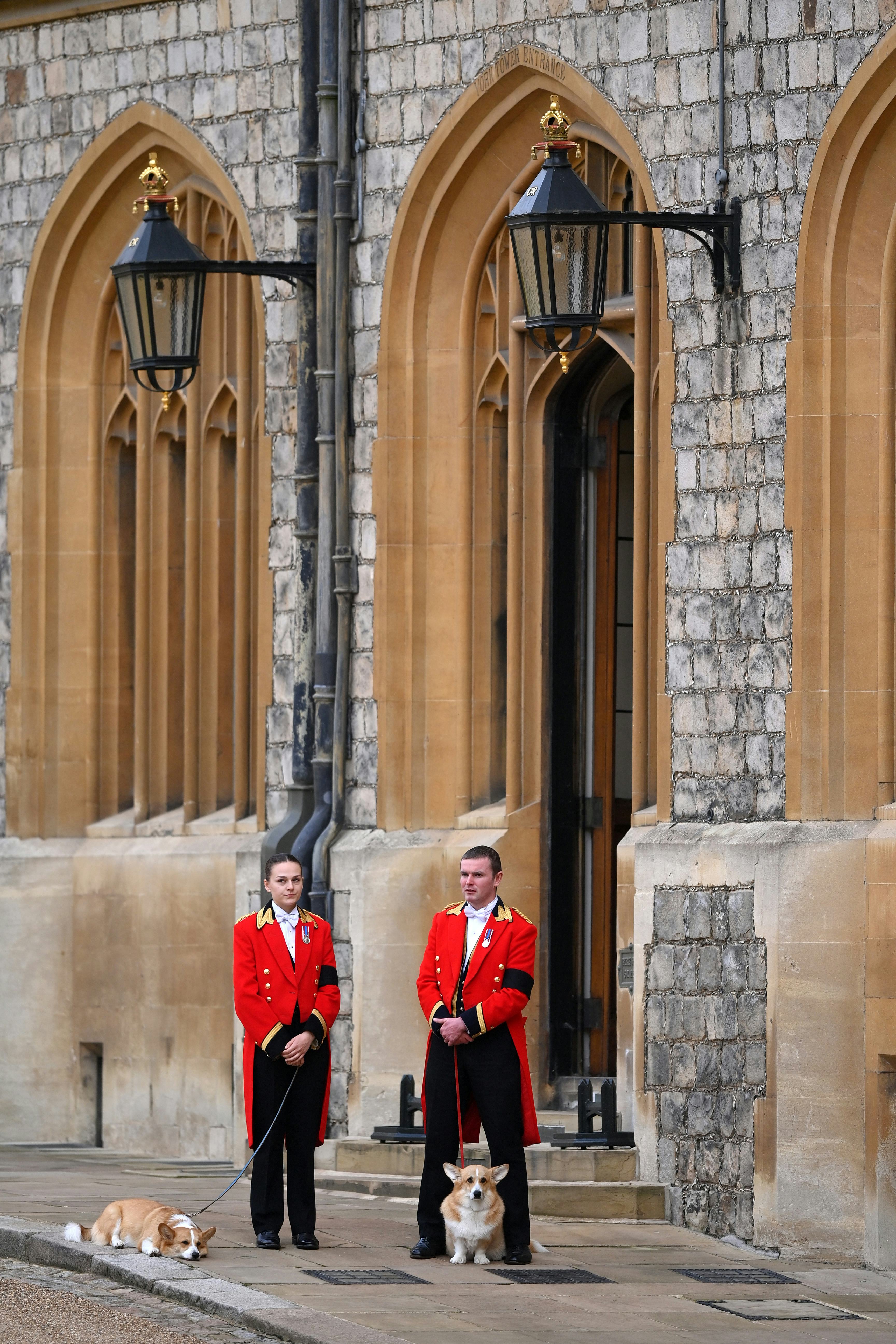 These photos of the Queen's corgis attending her funeral are adorable.