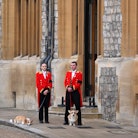 These photos of the Queen's corgis attending her funeral are adorable.