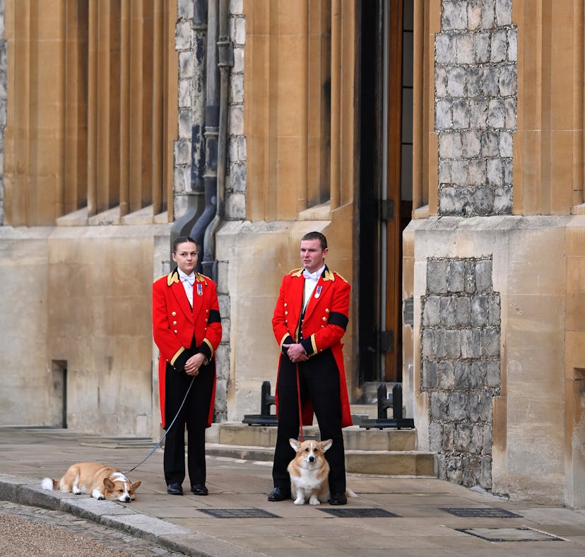 These photos of the Queen's corgis attending her funeral are adorable.
