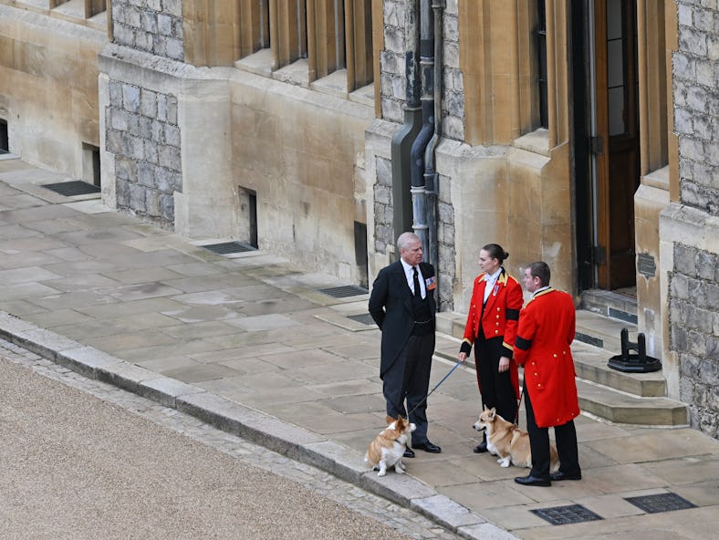 These photos of the Queen's corgis attending her funeral are heartwarming.