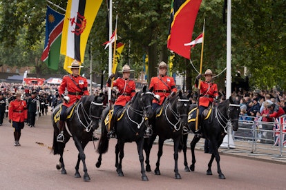 Queen Elizabeth's Corgis & Horses Say Farewell.