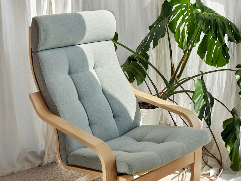 Comfortable armchair and green monstera plant placed near window with white curtains in sunlit livin...