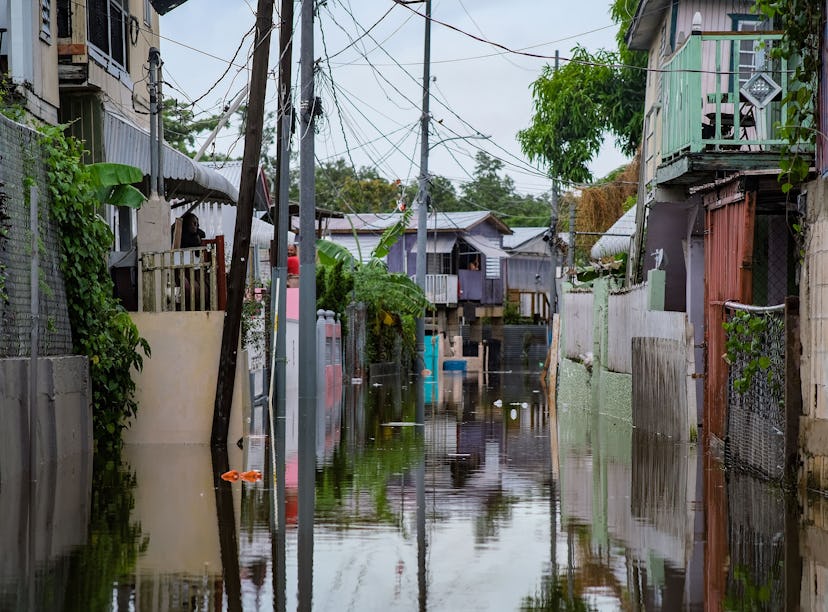 Here's how to help Puerto Rico after Hurricane Fiona, even if you're broke.
