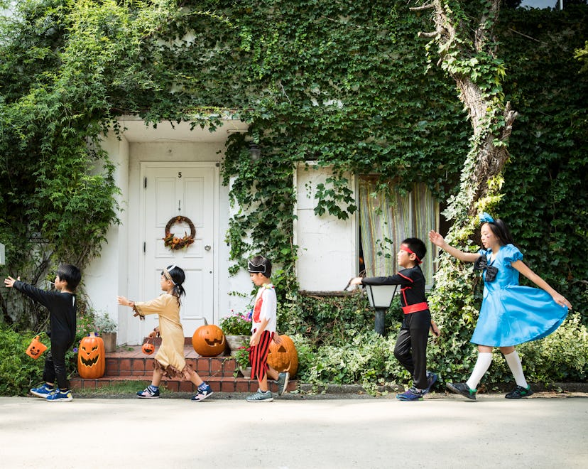 On the day of Halloween, homemade halloween costumes