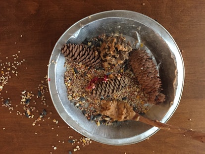 Pinecones being made into bird feeders.