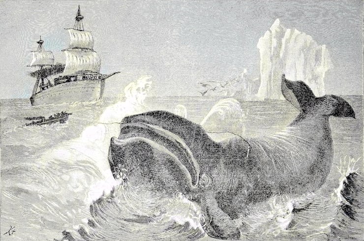 Whale hunting in the northern ice sea, Waljagd im nordlichen Eismeer, digital improved reproduction ...