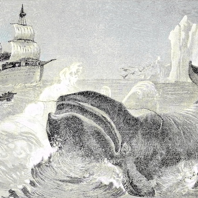 Whale hunting in the northern ice sea, Waljagd im nordlichen Eismeer, digital improved reproduction ...